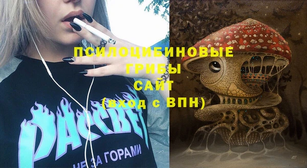 герыч Арсеньев