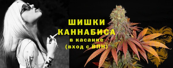 герыч Арсеньев